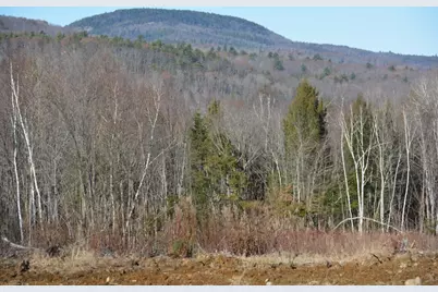 Lot 137.25 French Hill Road, Albany, ME 04217 - Photo 1