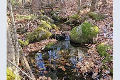 Lot 137.25 French Hill Road, Albany, ME 04217 - Photo 12
