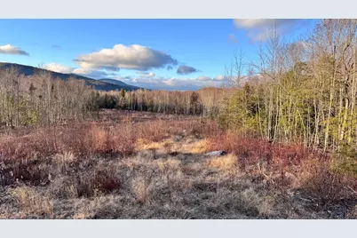 Lot 137.25 French Hill Road, Albany, ME 04217 - Photo 8