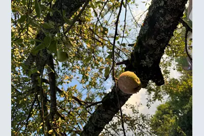 74 Maple Street, North Berwick, ME 03906 - Photo 50