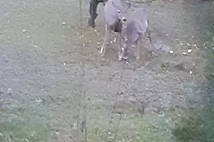 265 Forest Ave, Fort Fairfield, ME 04742 - Photo 12