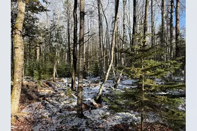 0 Mallard Lane, Lamoine, ME 04605 - Photo 12