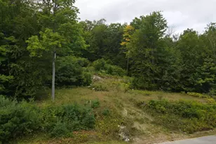 67 Is Vw Dr, Greene, ME 04236 - Photo 1