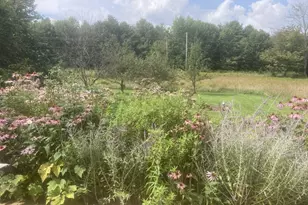 22 Old Jay Hill Rd, Jay, ME 04239 - Photo 64