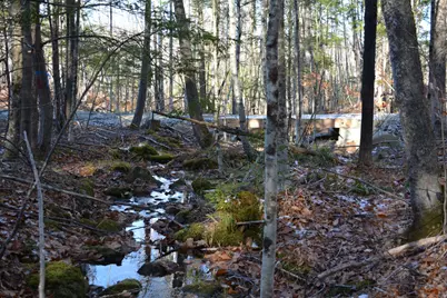 0 French Hill Road, Albany, ME 04217 - Photo 14