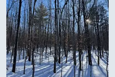 Lot#32 Beech Ridge Lane, West Paris, ME 04289 - Photo 6