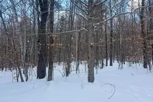 Lot 01 31 Spruce Pond Rd, Limington, ME 04961 - Photo 28