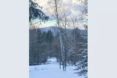 Lot 01/31 Spruce Pond Road, Limington, ME 04961 - Photo 20