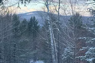 Lot 01 31 Spruce Pond Rd, Limington, ME 04961 - Photo 20