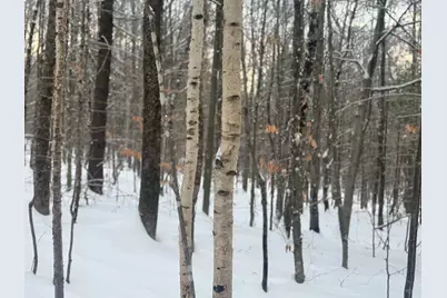 Lot 01/31 Spruce Pond Road, Limington, ME 04961 - Photo 30