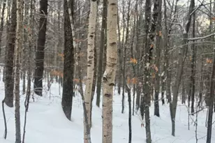 Lot 01 31 Spruce Pond Rd, Limington, ME 04961 - Photo 30