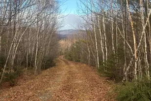 Lot 01 31 Spruce Pond Rd, Limington, ME 04961 - Photo 32