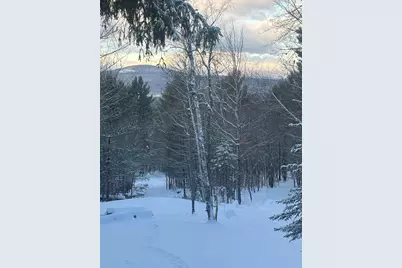 Lot 01/31 Spruce Pond Road, Limington, ME 04961 - Photo 22