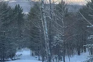 Lot 01 31 Spruce Pond Rd, Limington, ME 04961 - Photo 22