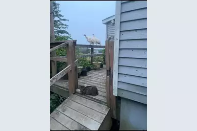 Tbd Mt Jefferson Heights, Lee, ME 04455 - Photo 6