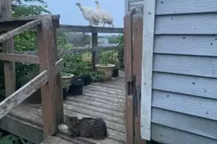 111 Thomas Hill Rd, Lee, ME 04455 - Photo 6