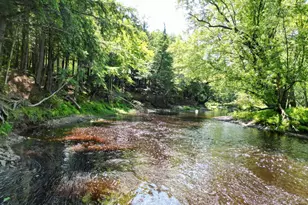 25 Loop Rd, Manchester, ME 04457 - Photo 44