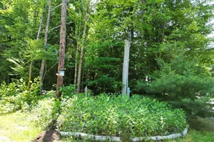 25 Loop Rd, Manchester, ME 04457 - Photo 60