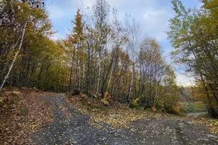 Lot 9 Moose Ridge Rd, Oakfield, ME 04763 - Photo 22