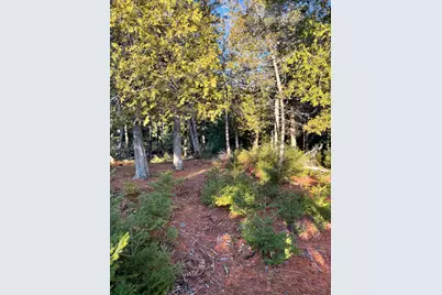 0 Juniper Ledge Road, Bar Harbor, ME 04609 - Photo 14