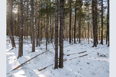 25 Long Pond Road, Southwest Harbor, ME 04679 - Photo 2