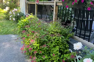 36 Greenlaw District Rd, Deer Isle, ME 04627 - Photo 8