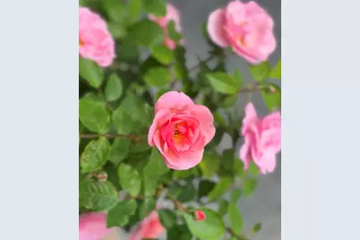 36 Greenlaw District Road, Deer Isle, ME 04627 - Photo 20