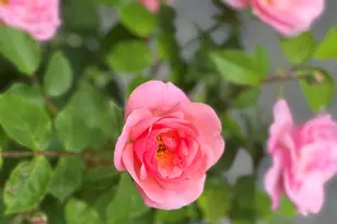 36 Greenlaw District Rd, Deer Isle, ME 04627 - Photo 20