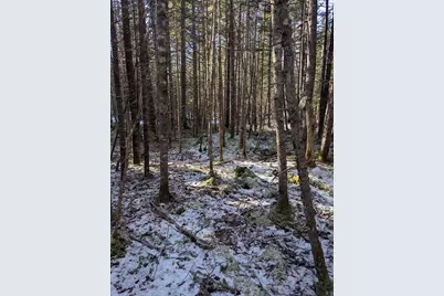 19 Tamarack Lane, Cushing, ME 04563 - Photo 10