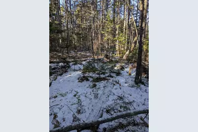 19 Tamarack Lane, Cushing, ME 04563 - Photo 14