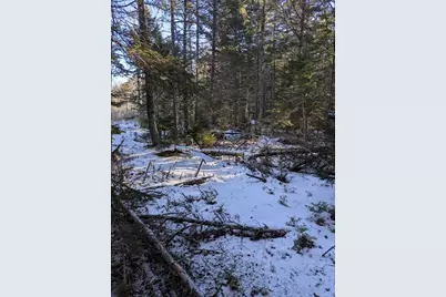 19 Tamarack Lane, Cushing, ME 04563 - Photo 12