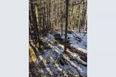 19 Tamarack Lane, Cushing, ME 04563 - Photo 8