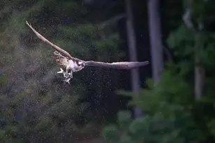 111 Rockweed Rd, West Bath, ME 04530 - Photo 66