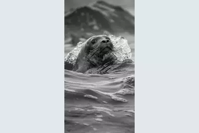 111 Rockweed Road, West Bath, ME 04530 - Photo 64