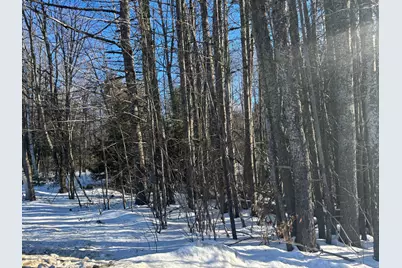 Lot 15-023 Intervale Road, Bethel, ME 04217 - Photo 2