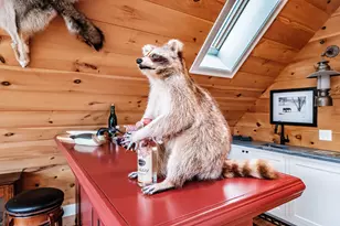 22 Lombardo Dr, Bridgton, ME 04009 - Photo 60