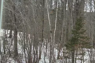 83 Bowdoin Pines Rd, Bowdoin, ME 04287 - Photo 34