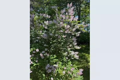 1041 &1046 Cape Jellison Road, Stockton Springs, ME 04981 - Photo 62