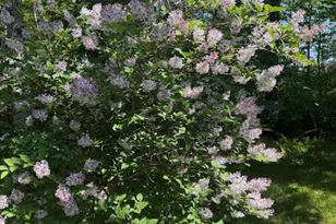 1041 &1046 Cape Jellison Rd, Stockton Springs, ME 04981 - Photo 62