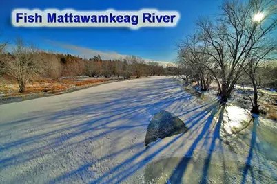 Lot 13 Denmark Road, Haynesville, ME 04497 - Photo 14