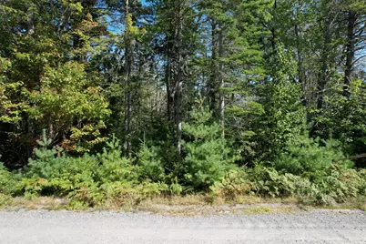 Lot 4 Kennel Brook Drive, Lamoine, ME 04605 - Photo 4