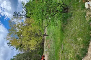 51 Wyman Hill Rd, Rumford, ME 04276 - Photo 68