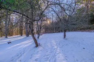 159 Bisco Rd, Paris, ME 04281 - Photo 44