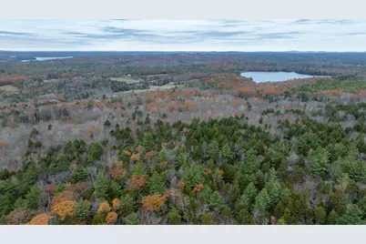 205 Perry Green Hill, Waldoboro, ME 04572 - Photo 8