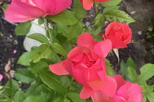 41 Rowe Brook Rd, Dedham, ME 04429 - Photo 46