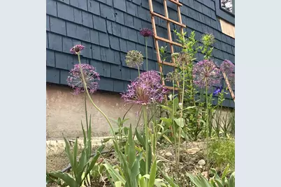 41 Rowe Brook Road, Dedham, ME 04429 - Photo 50