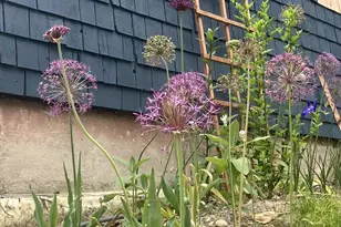 41 Rowe Brook Rd, Dedham, ME 04429 - Photo 50