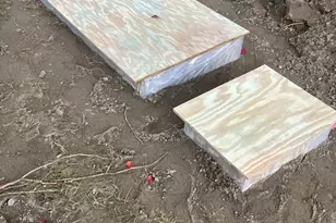 41 Rowe Brook Rd, Dedham, ME 04429 - Photo 48