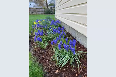 33 Kelley Street, South Portland, ME 04106 - Photo 64