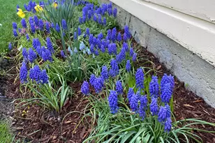 33 Kelley St, South Portland, ME 04106 - Photo 64